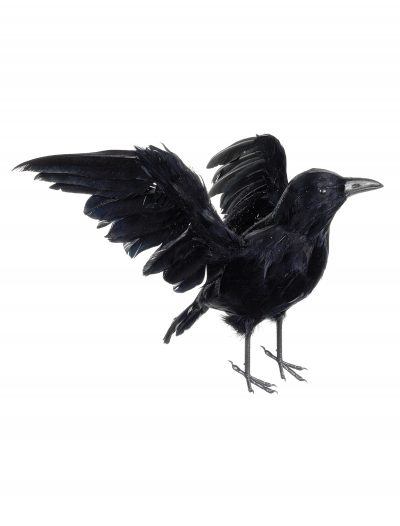 13 Inch Glittered Crow buy now