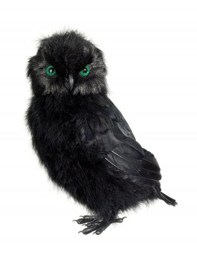 14 Inch Black Owl buy now