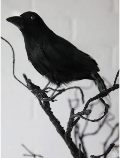 8.5" Glittered Crow buy now