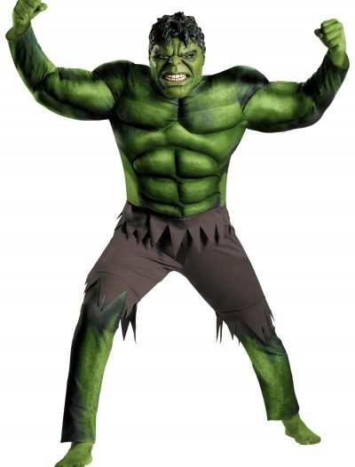 Adult Avengers Hulk Muscle Costume buy now