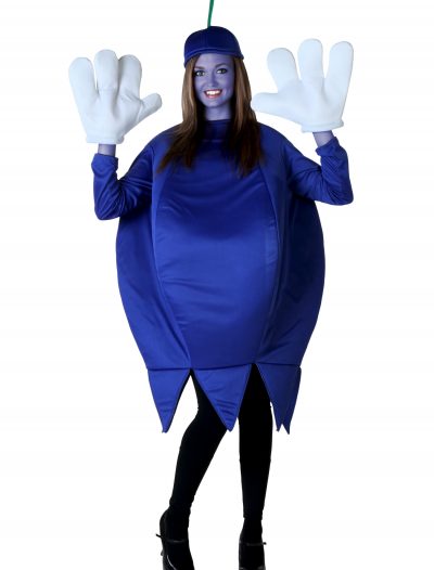 Adult Blueberry Costume buy now