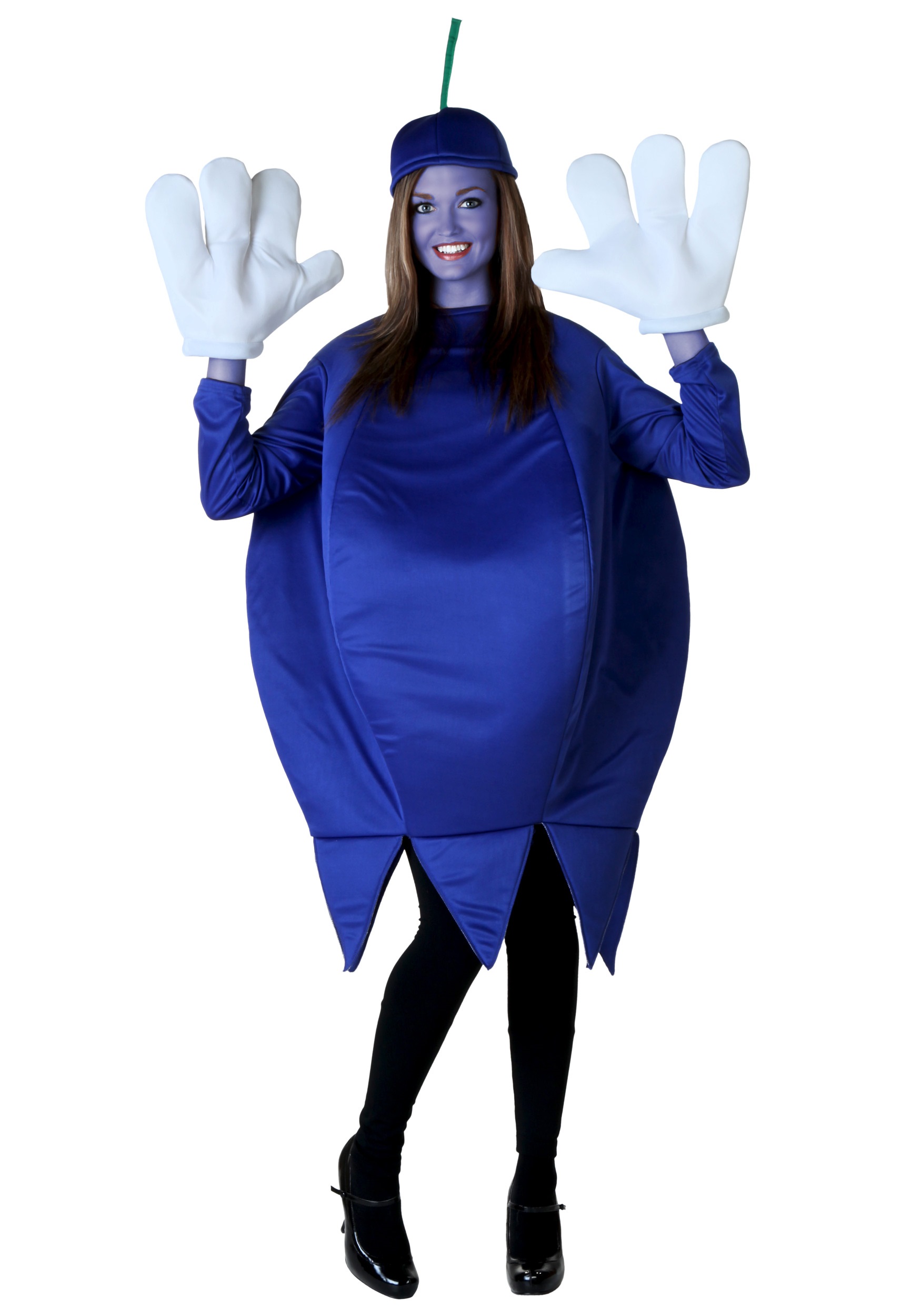 Adult Blueberry Costume - Halloween Costumes.
