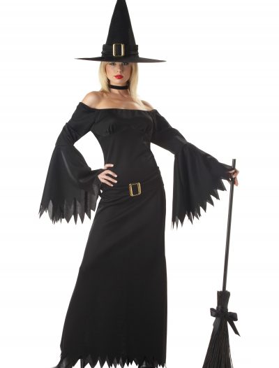 Adult Sexy Witch Costume buy now