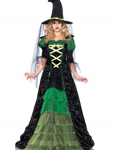 Adult Storybook Witch Costume buy now