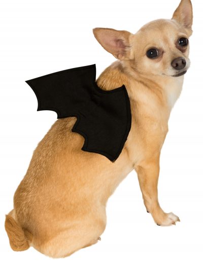 Bat Wings Pet Costume buy now