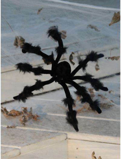 Black 20 inch Poseable Spider buy now