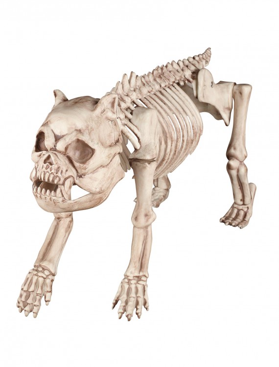 Bones the Hungry Hound Skeleton Dog buy now