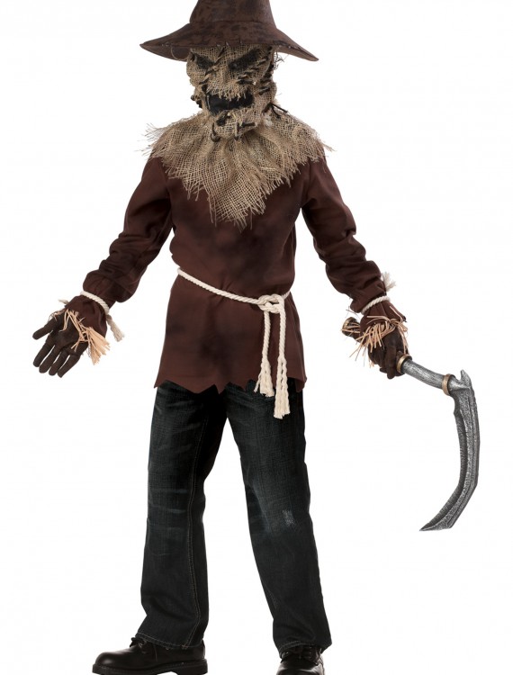 Boys Wicked Scarecrow Costume buy now