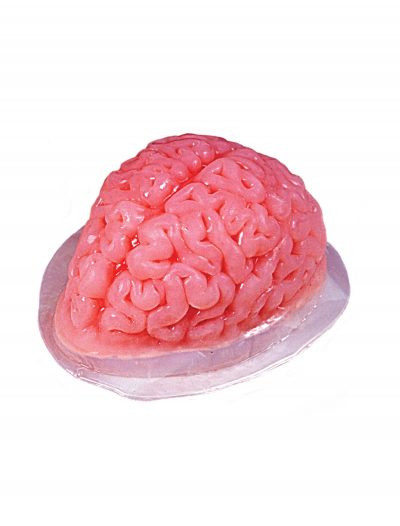 Brain Gelatin Mold buy now