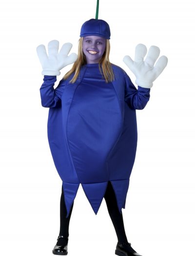 Child Blueberry Costume buy now