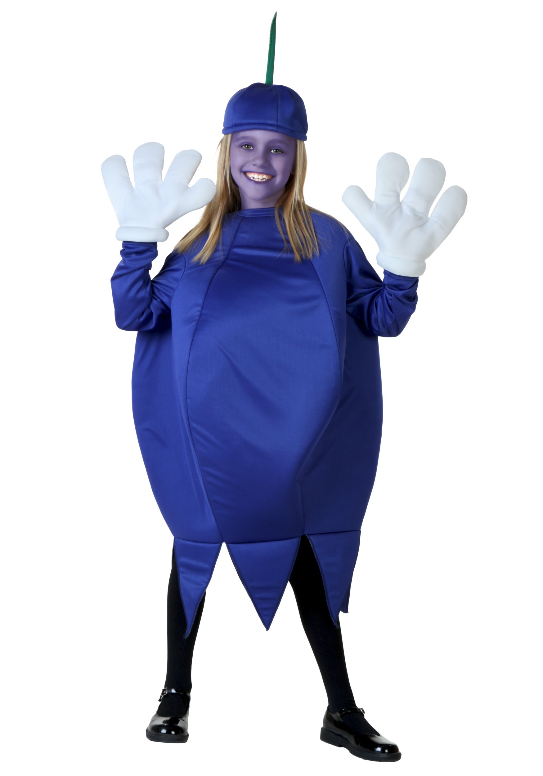 Child Blueberry Costume - Halloween Costumes.
