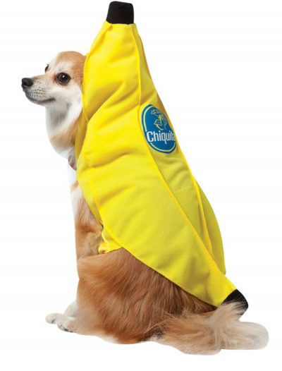 Chiquita Banana Dog Costume buy now