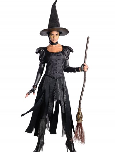 Deluxe Teen Wicked Witch of the West Costume buy now