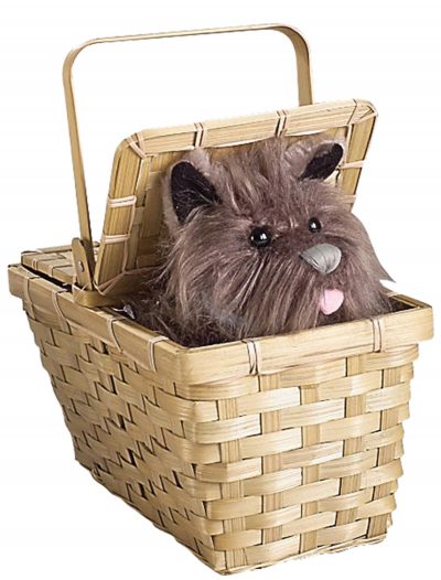 Deluxe Toto with Basket buy now