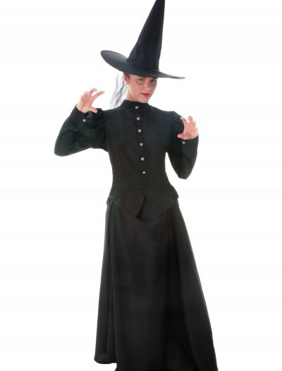 Deluxe Wicked Witch Costume buy now
