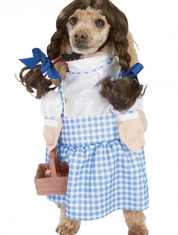 Dorothy Dog Costume buy now