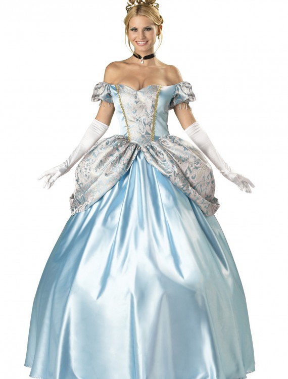 Elite Enchanting Princess Costume buy now
