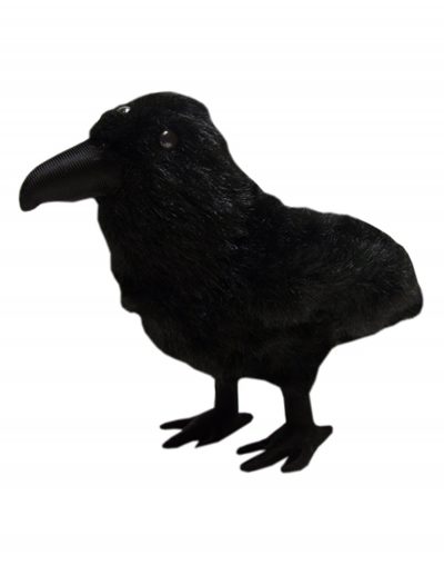 Game of Thrones 3 Eyed Raven Plush Figure buy now