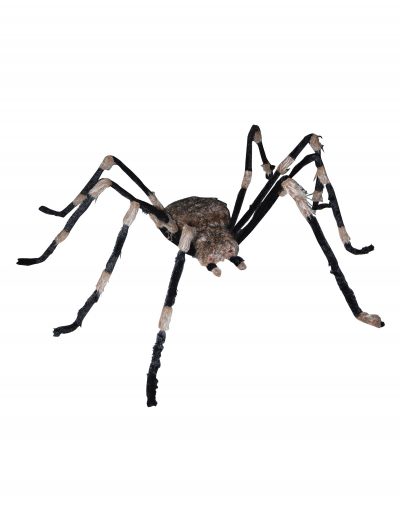 Giant Spider buy now