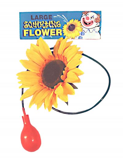 Giant Squirting Sunflower buy now