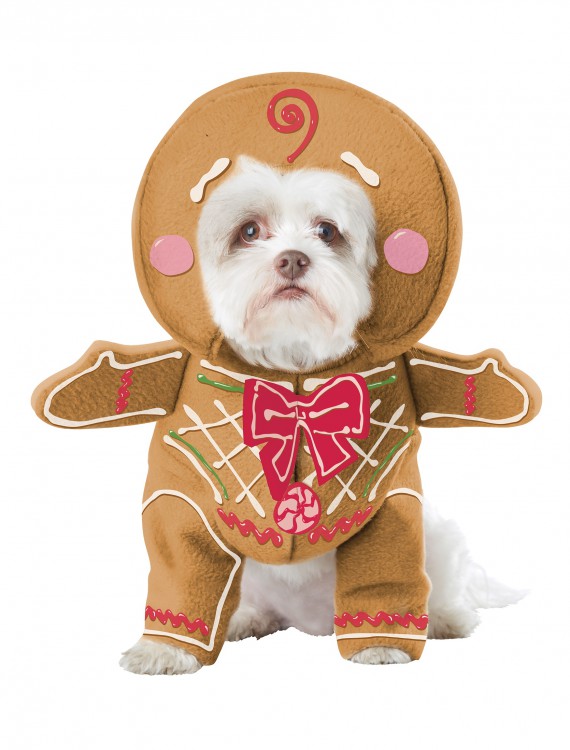 Gingerbread Pup Dog Costume buy now