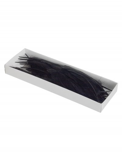 Glittered Feathers in a Box buy now