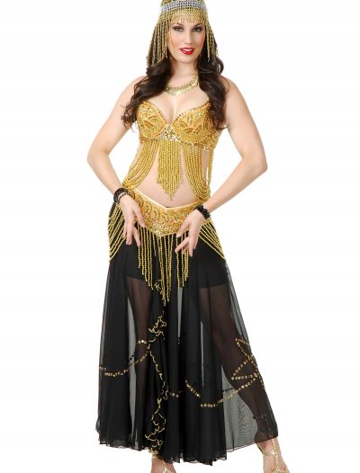 Golden Belly Dancer Costume buy now