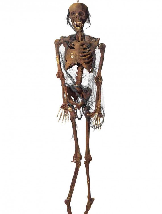 Hanging Rotted Skeleton buy now