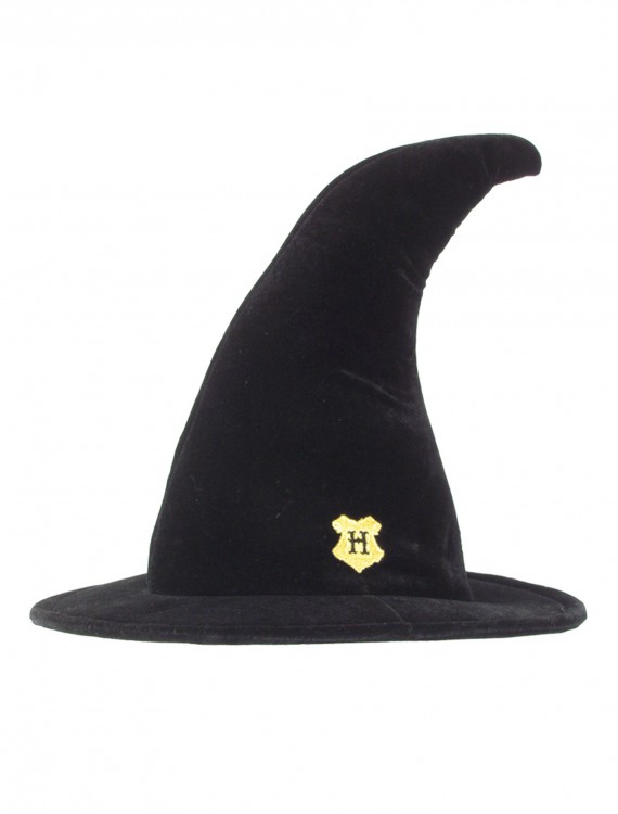 Hogwarts Student Witch Hat buy now