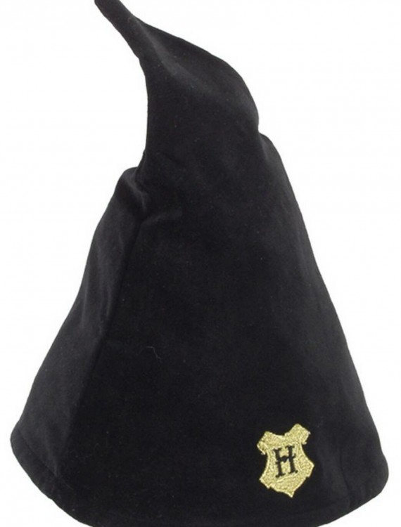 Hogwarts Student Wizard Hat buy now