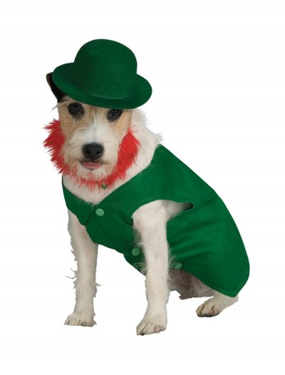Leprechaun Pet Costume buy now
