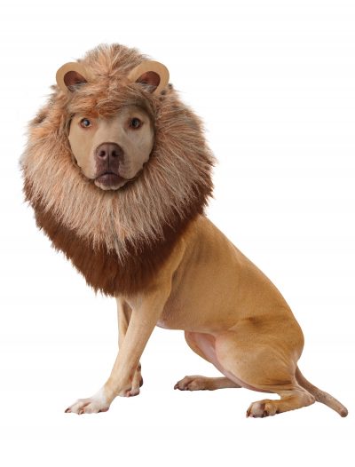Lion Pet Costume buy now