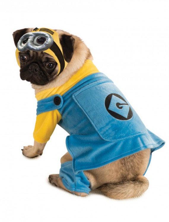 minion costumes for cats