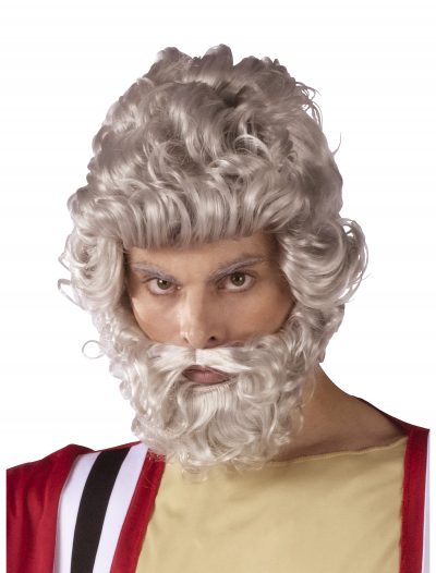 Moses Wig and Beard Set buy now
