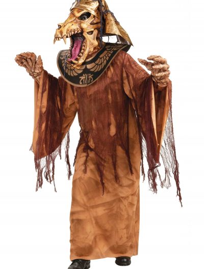 Mummy Warrior Costume buy now