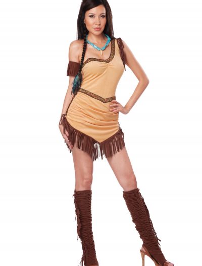 Native American Beauty Costume buy now