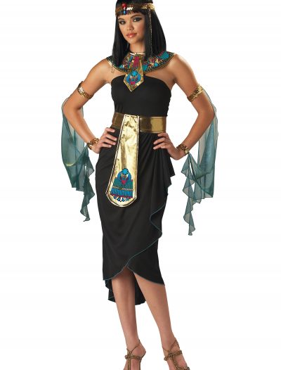 Nile Queen Cleopatra Costume buy now