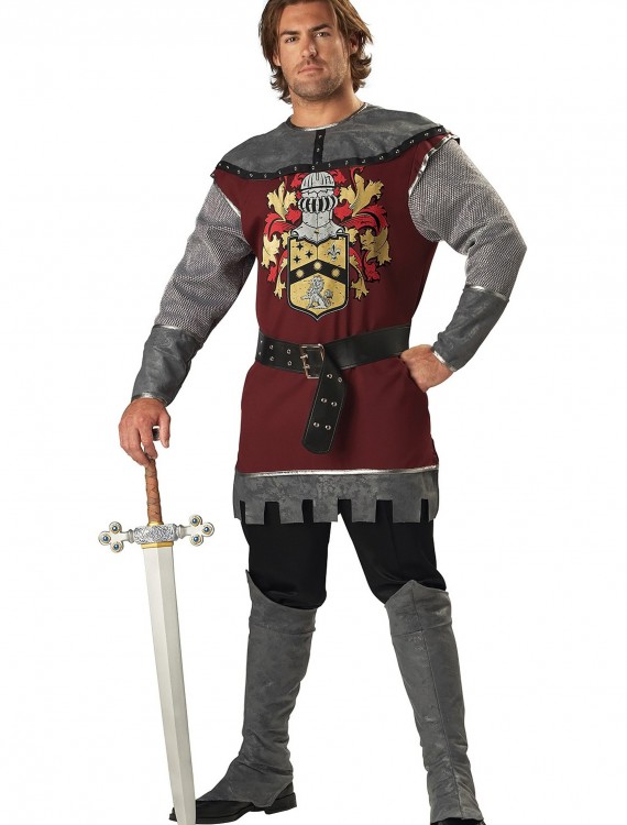 Noble Knight Costume buy now