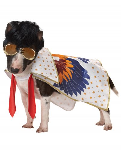 Nothin But A Hound Dog Costume buy now