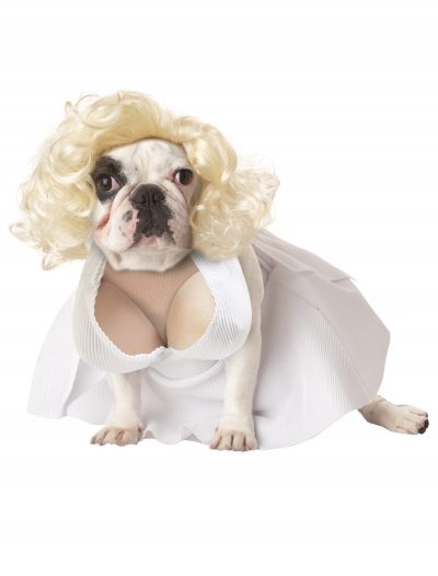 Pet Marilyn Monroe Costume buy now