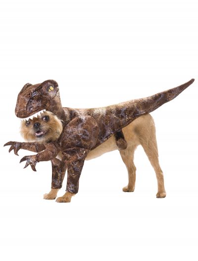 Pet Raptor Costume buy now