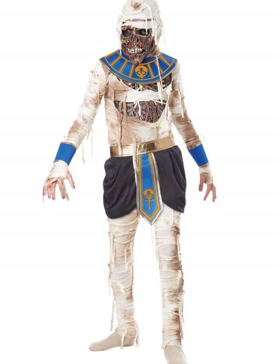 Child's Pharaoh's Revenge Costume buy now