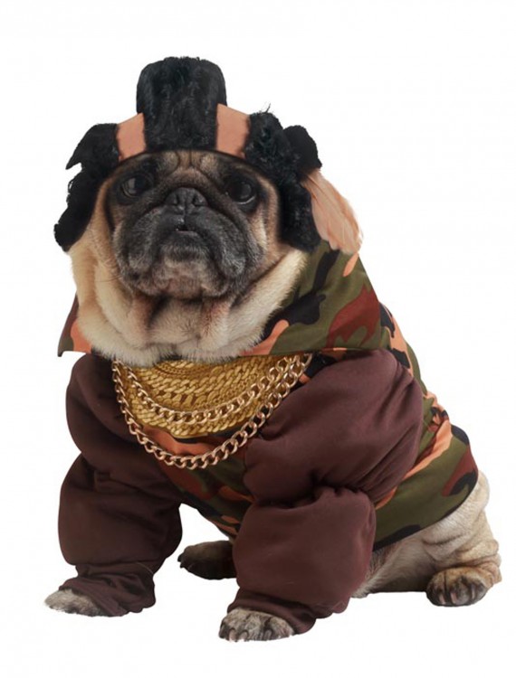 Pity the Fool Dog Costume buy now