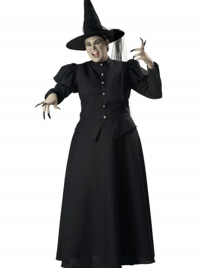 Plus Size Black Witch Costume buy now