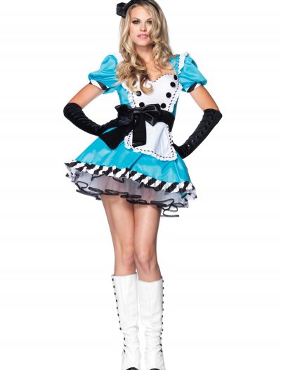 Plus Size Charming Alice Costume buy now
