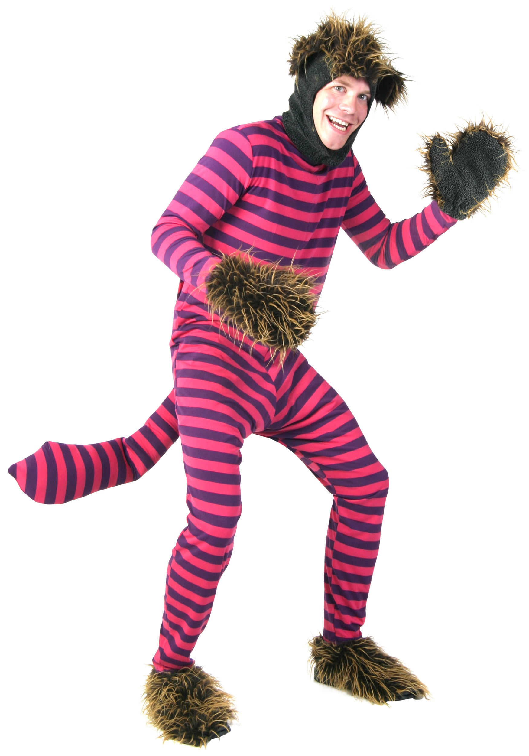 Plus Size Cheshire Cat Costume - Halloween Costumes.