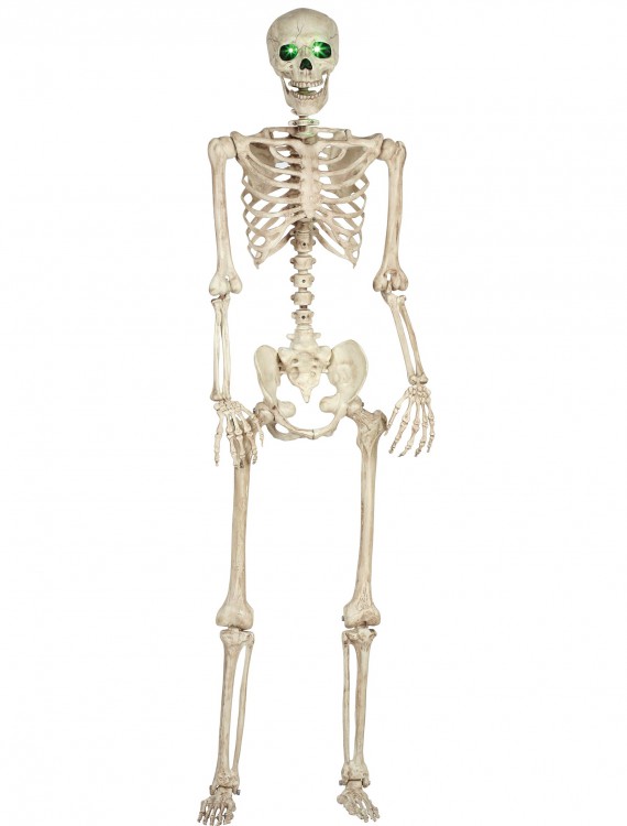 Pose-N-Stay Light Up Skeleton buy now