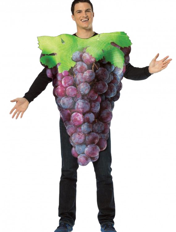 Purple Grapes Adult Costume buy now