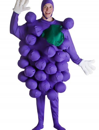 Purple Grapes Costume buy now