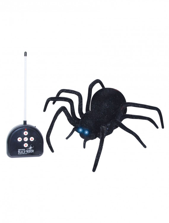Remote Control Spider buy now